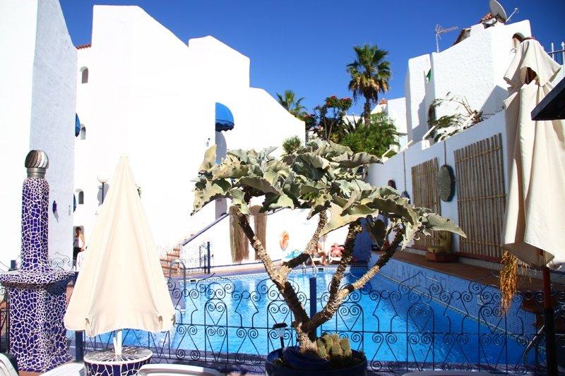 Playaflor Chill Out Resort A 50 Mtrs De La Playa (Adults Only) プラヤ・デ・ラス・アメリカス エクステリア 写真