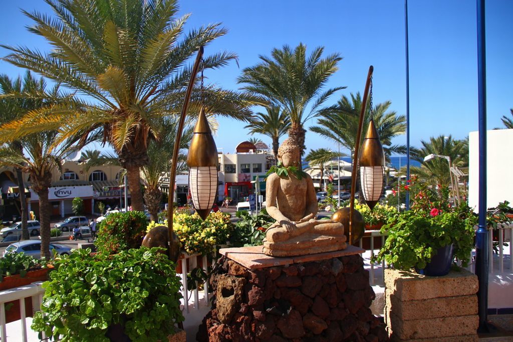 Playaflor Chill Out Resort A 50 Mtrs De La Playa (Adults Only) プラヤ・デ・ラス・アメリカス エクステリア 写真